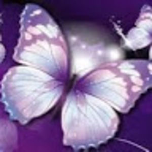 Meet your Posher, Jasmin